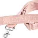 Stanley All Day Midi Lunch Box (4 qt, Rose Quartz)