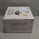 Plant Pots,12/10/9/8/ Inch Large Plastic Self Watering Flower Pots Indoor Outdoor with Drainage Holes, Deep Reservoir, Nursery Planting Pot for Indoor Out Door Plants White