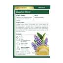 Traditional Medicinals Tea, Organic Licorice Root, Soothes the Digestive Tract & Promotes Respiratory Health - Kosher, Non-GMO, Caffeine-Free - 16 Tea Bags (EXP 05/31/29)