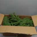 2Pcs 6FT Christmas Norfolk Pine Garlands Decoration, 120 Branches Real Touch Artificial Faux Green Pines Winter Garland for Fireplace Table Mantle Stairs Xmas Holiday Indoor Outdoor Decor