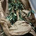 Nearly Natural 9FT Tall Silk Faux Olive Tree for Home and Office Decor, Potted with Natural Wood Trunk, Realistic Branches and Lifelike Fruits