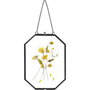 Pressed Flower Frames, Glass Floating Frames for Display Dried Plant Specimen Picture, Hanging Brass Photo Frame with Chain, Double Clear Glass, Vintage Wall Decor, Octagon, Black, 5x7 Inches (5 X 7 inches)
