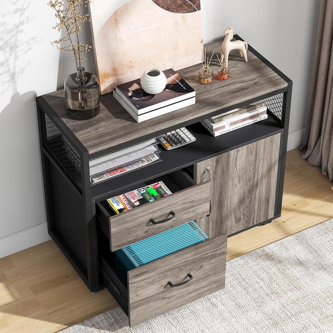 Tribesigns Modern File Cabinet with Drawers for Letter-Sized File and Door, Lockable lateral Filing Cabinet Printer Stand with Storage Shelves and with Rolling Caster for Home Office (Gray) (Grey)