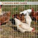 Tongmo 5 ft x 100 ft Galvanized Welded Chicken Wire Fence, 16GA Garden Chicken Wire Fence Roll, Mesh Size 2" x 4"Hardware Cloth, Ideal for Yard Protection and Poultry Netting