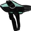 ShawnCo Essential Dog Harness, No-Pull Pet Vest with 3 Leash Clips, No Choke, Reflective, Adjustable and Padded, for Easy Walking and Training for Small, Medium and Large Dogs (Seafoam, M)