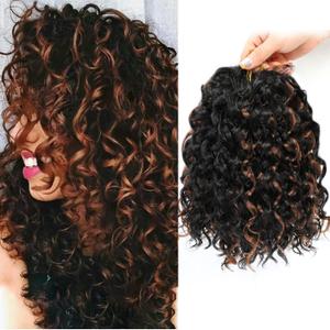 Gogo Curl Crochet Hair 8 Inch Short Curly Crochet Hair for Black Women Beach Curl Water Wave Curly Crochet Braids Hair, Deep Wave Synthetic Braiding Hair Extensions(8 inch P1B/30)