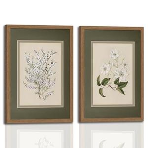 2Pcs Framed Canvas Wall Art Vintage Print Paintings Flower Drawing Plant Manuka Neutral Floral Nature Retro Aesthetic Artwork for Home Living Room Bathroom Farmhouse Wall Decor 16x24n Ready to Hang