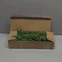 18" Real Touch Christmas Norfolk Pine Stems with Real Pine Cones,Natural Droopy Soft Bendable Artificial Pine Branches,Faux Greenery Pine Picks for Vase DIY Garland Wreath Xmas Home Decor(12Pcs)