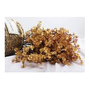  Babys Breath Fabric Cloth Artificial Flowers 12 Bundle European Fake Silk Plants Decor Wedding Party Decoration Bouquets Real Touch DIY Home Garden (Gold 12pcs)