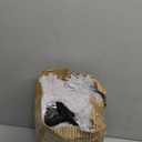 Bean Bag Chair Cover, Waterproof Faux Fur Bean Bag Cover Only(No Filler), 5FT Round Beanbag Cover with Pocket, Big Giant Bean Bags Covers for Adults Kids Teens, Stuffed Animal Storage