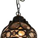 Retro Outdoor Pendant Light Industrial Vintage Outside Waterproof Ceiling Hanging Light Globe Glass Lampshade Aluminum Chandelier for Porch Garden Patio Farmhouse (Black, 27cm)