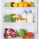 2 x Fridge Deodorizer 1PackMore Effective Than Baking SodaRechargeable Refrigerator Deodorizer Made of zeolite 8-12 Months Long-Lasting Freshness for Fridge