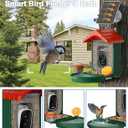 VISIOGEAR 2-in-1 Smart Wild Bird Feeder & Bath with 4K HD Camera, AI Identification Solar Bird Feeder Watching Camera Night Vision for Outdoor Birds Watching Gifts for Birdlover, Red & Green