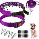 Prong Training Collar with Comfort Tips and Quick Release - Dog Choke Pinch Collar with Nylon Cover - Classic Collar and Leash for Small to Large Dogs (Medium, 3mm, 14-18'' Neck, Purple)