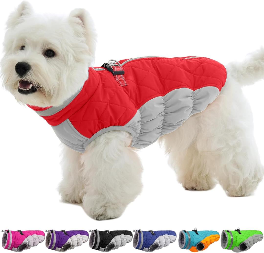 Small Dog Coat,Dog Jackets for Small Dogs,Warm Winter Jacket, Puppy Coat with Harness Built in,Waterproof Dogs Jacket,Puppy Cold Weather Coats,Pet Winter Clothes Snowsuit Shih Tzu Bichon,Red