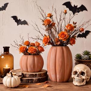 Qinyoung 2 Pack Halloween Terracotta Pumpkin Vase Fall Clay Pot