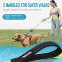 Hands Free Large Dog Leash, 6-8 FT Bungee Leash with Waist Belt for Dog Up to 150 lbs, Running Walking Jogging