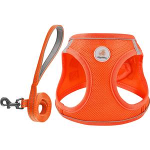 Hipubby Dog Harness and Leash Set, No Pull Soft Mesh Puppy Harness for Small Medium Dogs, Cats - Step in Reflective Breathable Lightweight Vest Harness for Walking, Training - Orange, XS (XS(Chest: 13.5"-15"))