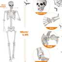 Halloween Skeleton, Realistic Life Size Skeleton with Movable Joints for Halloween Party Haunted House Indoor Outdoor Decoration (5.9ft-1P)