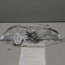 Dorman 748-129 Front Driver Side Power Window Regulator and Motor Assembly Compatible with Select Honda Models