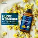 Organic Helichrysum Essential Oil 30 ml - Pure, Natural Oils for Aromatherapy, Diffusers, DIY, Candle and Soap Making Scent - Nexon Botanics