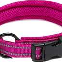 TRUE LOVE Truelove Dog Collar Reflective Premium Duraflex Buckle,High Grade Nylon Webbing No Choke Basic Collars TLC5011(Fushcia,S)