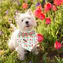 4 x Lionheart glory Floral Dog Bandana Spring Summer Dog Bandana 1 Pack Washable Soft Dog Scarf, Square Adjustable Dog Bandanas for Small Dogs, Red Roses
