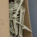 Posable Human Adult (5' 4") & Child (3') Skeleton Value 2 Pack - Life Size, Articulated Limbs & Bones Model Stay in Place, Weather Resistant Indoor/Outdoor Decoration- Anatomical Science & Biology