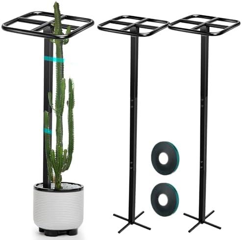 MorningRo 2 Pack Dragon Fruit Trellis Adjustable Metal Garden Plant Climbing Support with Wide Stretch Ties for Outdoor Vertical Gardens Vining Plants(60 Inch)