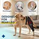 Dog Sleeve for Rear Legs to Stop Licking, Upgraded Surgical Recovery Sleeve for Hind Back Leg Wound,TPLO, ACL Surgery, Light Comfortable Cone Alternative, Left, M