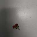 Womens Flowy Athletic Shorts for Dancing,Yoga,Gymnastics,Ballet (Medium, Gray Blue)