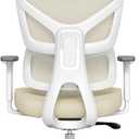 Ergonomic Office Chair, High Back Mesh Desk Chair with 4-Position Height Adjustable Back, 3D Armrests, Adaptive Lumbar Support, 3-Level Tilt Function, 3D Headrest, Comfy Computer Gaming Chairs (Beige Mesh White Frame)