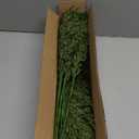 Gandeer Christmas Placemats Set of 6 Round Greenery Place Mats Xmas Circular Artificial Wreath Dining Table Decor Winter Fake Plants Branches Mats for Kitchen Accessories (Cedar)