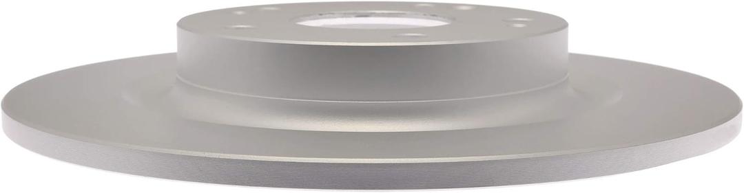 Raybestos BRAKE ROTOR (One Size)