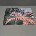 Giraffe Calendar 2026 Monthly Wall Calender 12 Month | American Made In The USA