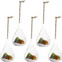 Juvale Teardrop Hanging Glass Terrarium - Air Plant Holder & Succulent Planter - Tea Light Candle Holder & Glass Globe for Air Plants - Pack of 5-3 x 5.5 in
