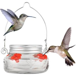 Nature's Way Bird Products MJF1 Nature's Way Mason Jar Hummingbird Dish Feeder, Clear (4" dia.)