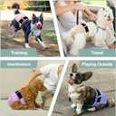 Female Dog Diapers 5Pcs - Premium Reusable Diapers for Doggie in Heat - Highly Absorbent Dog Diapers Female for Pet Incontinence with Adjustable Snaps, Flowers S