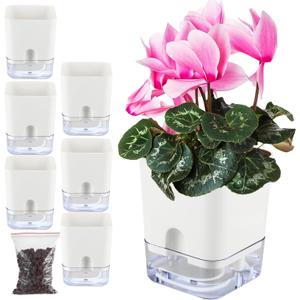 Planterhoma 6 Pack-5.5 Inch Self Watering Plant Pots for Indoor Plants, Square Self-Watering Planters Box Transparent for Devil's Ivy, Spider Plant, Orchid, African Violet