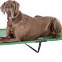 Amazon Basics Cooling Breathable Elevated Dog Bed with Durable Metal Frame for Large Dogs, X-Large, 60 x 37 x 9 Inch, Green, Easy to Clean
