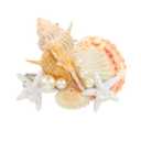 JAKAWIN Light Up Mermaid Hair Accessories Seashell Hair Clips Ocean Starfish Clip for Women