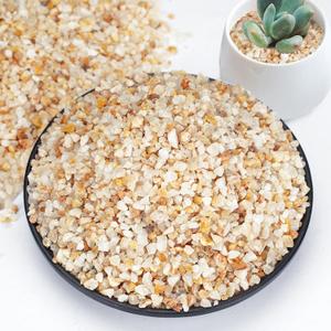 1-2mm Coarse Sand for Plants, 6lb Horticultural Sand for Succulents, Desert Silica Sand for Cactus, Vases, Aquariums, Terrarium, Fish Tank, Drainage Rocks for Potted Plants, Bamboo, Crafts (EXP 12/31/26)