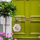 Tallew Christmas Door Hanger Bags Clear Plastic Poly Hanging Waterproof Perforated Newspaper Bag for Door Knob Flyers Newspapers Mail Magazine Notices Brochures Outdoor Avoid Dirt(6 x 12 Inch,240 Pcs)