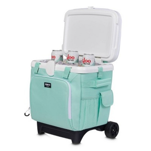 Igloo Fusion Cooler