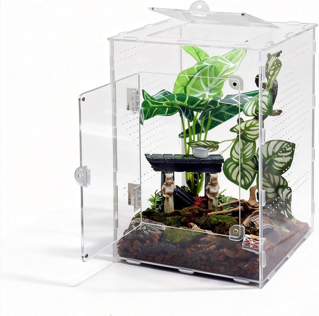 Large Jumping Spider Enclosure, Acrylic Ventilated Terrarium with Magnetic Front and Top Doors, 8.5x8.5x12 Inch, Transparent, Lockable (Large Size)