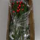 Teeanzo 60 Pcs Christmas Artificial Pine Branches Red Berry Stems and Pine Cones, Fake Foliage Greenery Pine Needles Picks for DIY Craft Garland Wreath Xmas Embellishing Home Garden Decor