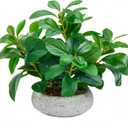 K&Y Realistic Artificial Potted Plants Olive Wild Fern Berry Decor Low Maintenance Faux Greenery Indoor Fake Plants for Home Office Bathroom Kitchen Desk Shelf (Gray Flowerpot Potted Plant)