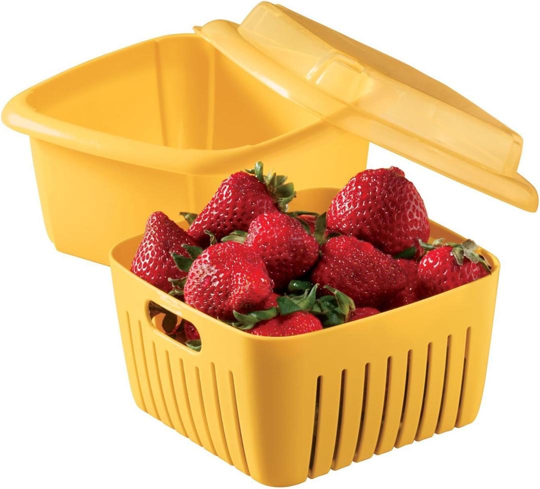 Hutzler Berry Box Size Ea