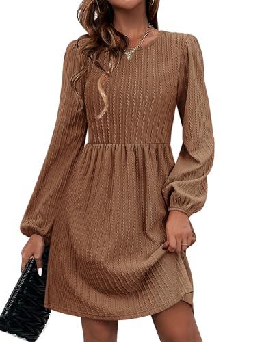 Zeagoo Womens Knit Sweater Dresses Long Sleeve Dress with Pockets Casual Tunic Dresses Winter A-Line Dresses for Women 2025 Brown Small