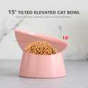 Raised Ceramic Cat Food Bowl - Elevated Base, Tilted, Anti Vomit - Whisker Friendly Shallow Wide Feeding Bowl - Microwave and Dishwasher Safe